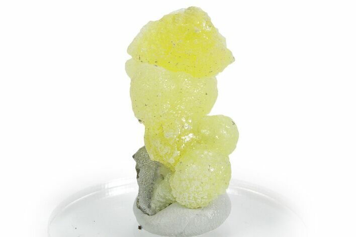 Lemon-Yellow Brucite - Balochistan, Pakistan #354654